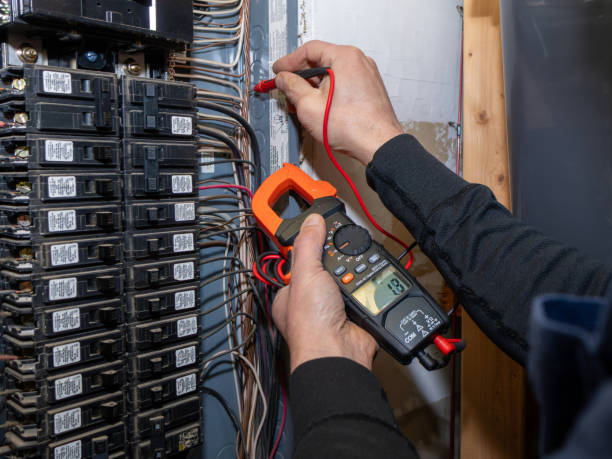 Best Ceiling Fan Installation Electrician  in Fair Plain, MI